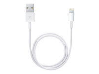 Apple Lightning to USB Cable - Câble de données / charge pour iPad / iPhone / iPod - Lightning / USB - Lightning (M) pour USB (M) - 50 cm - pour iPad Air; iPad Air 2; iPad mini; iPad mini 2; 3; 4; iPad Pro; iPad with Retina display (4th generation); iPhone 5, 5c, 5s, 6, 6 Plus, 6s, 6s Plus; iPod nano (7G); iPod touch (5G, 6G) ME291ZM/A