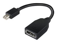 Lenovo - Adaptateur DisplayPort - Mini DisplayPort (M) pour DisplayPort (F) - 17.6 cm - pour ThinkCentre M70; M75t Gen 2; M80; M90; ThinkStation P330 Gen 2; P34X; P350; P520; P620 4X90L13971