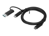 Lenovo - Câble USB - 24 pin USB-C (M) pour 24 pin USB-C (M) - 20 V - 5 A - 1 m - noir 4X90U90618