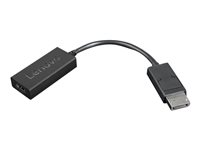 Lenovo - Adaptateur vidéo - DisplayPort mâle pour HDMI femelle - 22.5 cm - noir - support 4K 4X90R61023