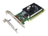NVIDIA GeForce GT730 - Carte graphique - GF GT 730 - 2 Go GDDR5 - PCIe 2.0 x8 profil bas - DisplayPort - pour ThinkCentre M710; M715; M720; M75t Gen 2; M910; M920; V530-15 4X60M97031