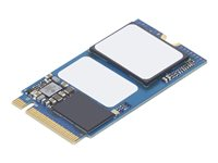 Lenovo - SSD - 256 Go - interne - M.2 2242 - PCIe 3.0 x4 (NVMe) - pour ThinkBook 14 G3 ACL; 14 G3 ITL; 14s Yoga G2 IAP; 15 G2 ITL; 15 G3 ACL; 15 G3 ITL 4XB1E26214