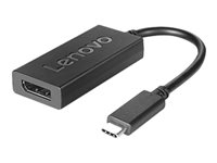 Lenovo - Adaptateur USB / DisplayPort - 24 pin USB-C (M) pour DisplayPort (F) - DisplayPort 1.2a - support 4K - pour ThinkBook 14s Yoga G2 IAP; ThinkCentre M75t Gen 2; ThinkPad T14s Gen 3; X1 Nano Gen 2 4X90Q93303